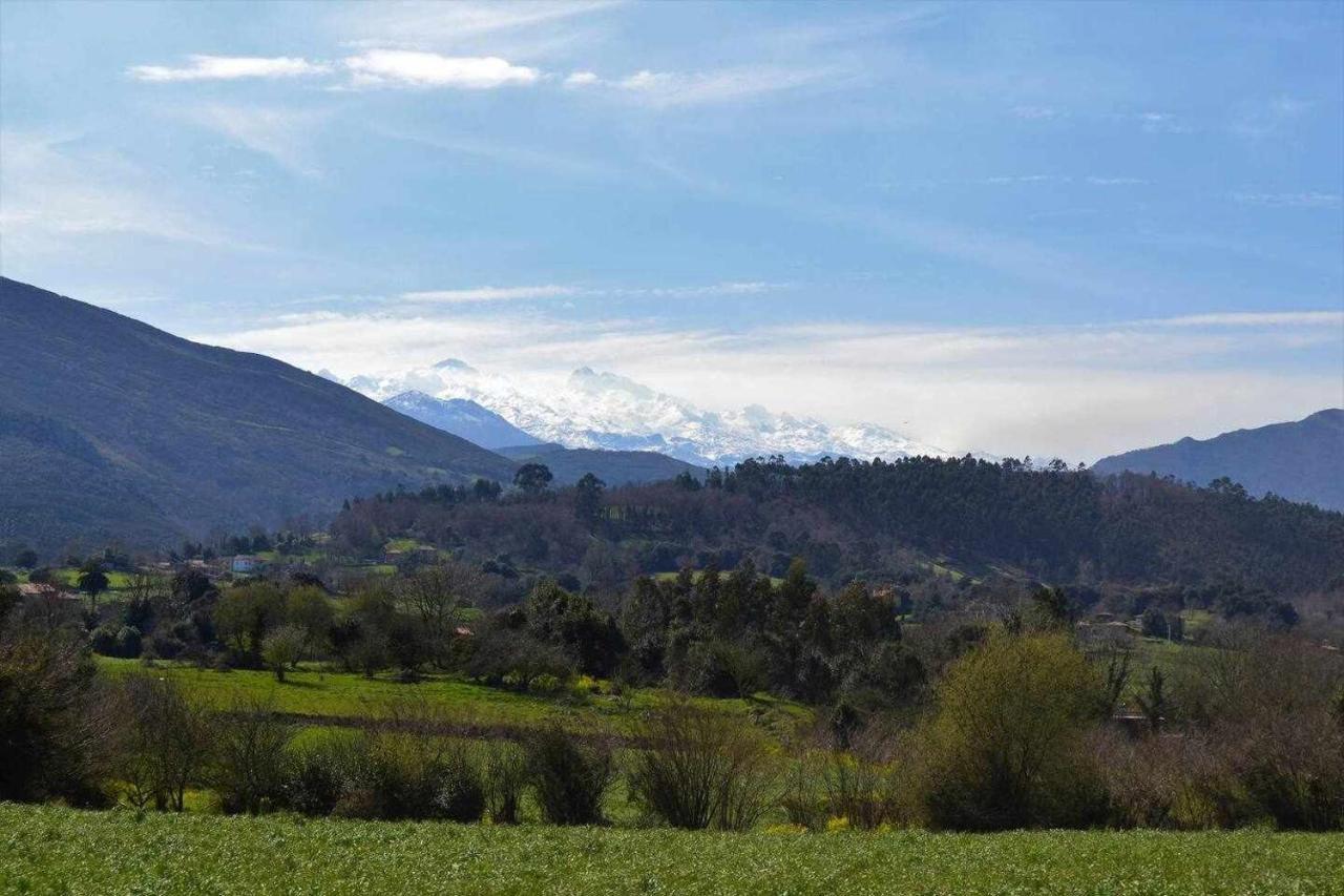 Appartement Rincon Con Piscina En Picos De Europa à Onís Extérieur photo